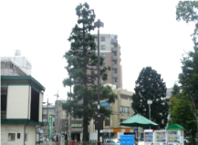 東京都町田市内